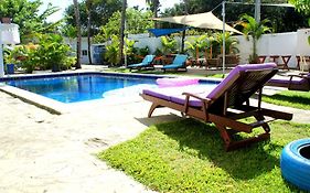 Hummingbird Cabarete